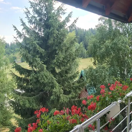 Jelenin Nova Varos